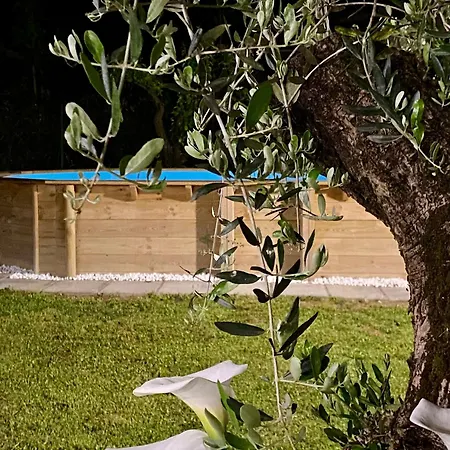 La Torribina 2 *